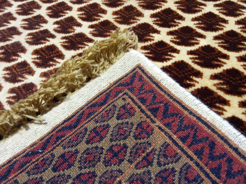 3ft×5ft Hand Knotted Wool Carpet Lichi White - Image 6