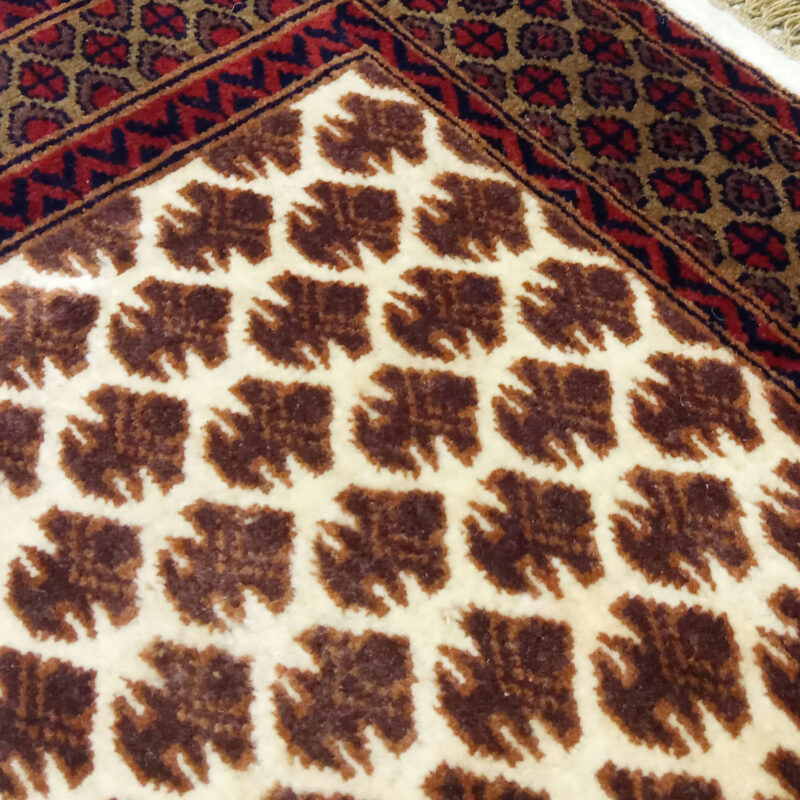 3ft×5ft Hand Knotted Wool Carpet Lichi White - Image 4