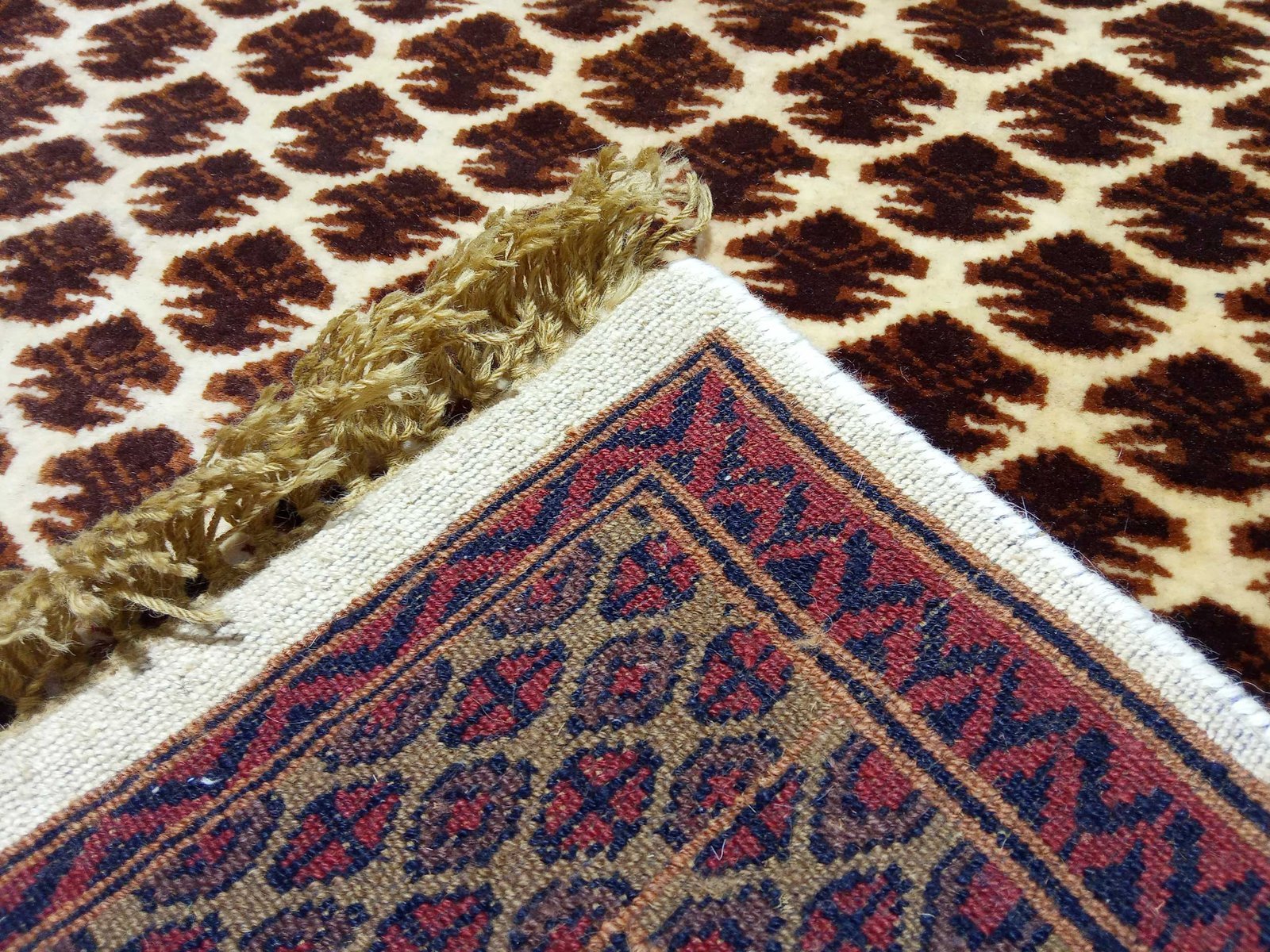 3×5 feet Hand Knotted Wool Carpet Lichi White - Image 6