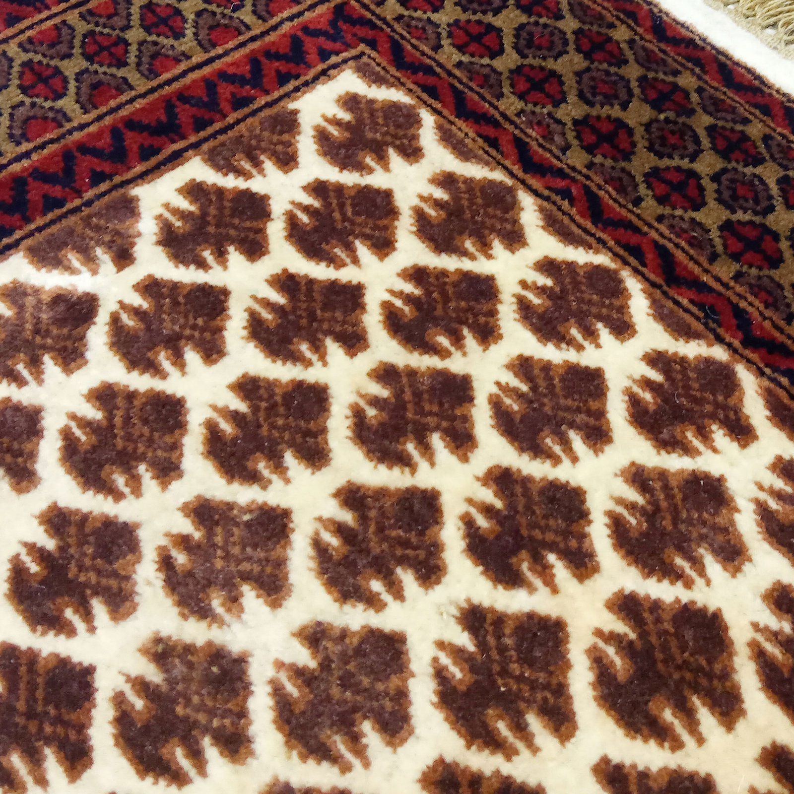 3×5 feet Hand Knotted Wool Carpet Lichi White - Image 4