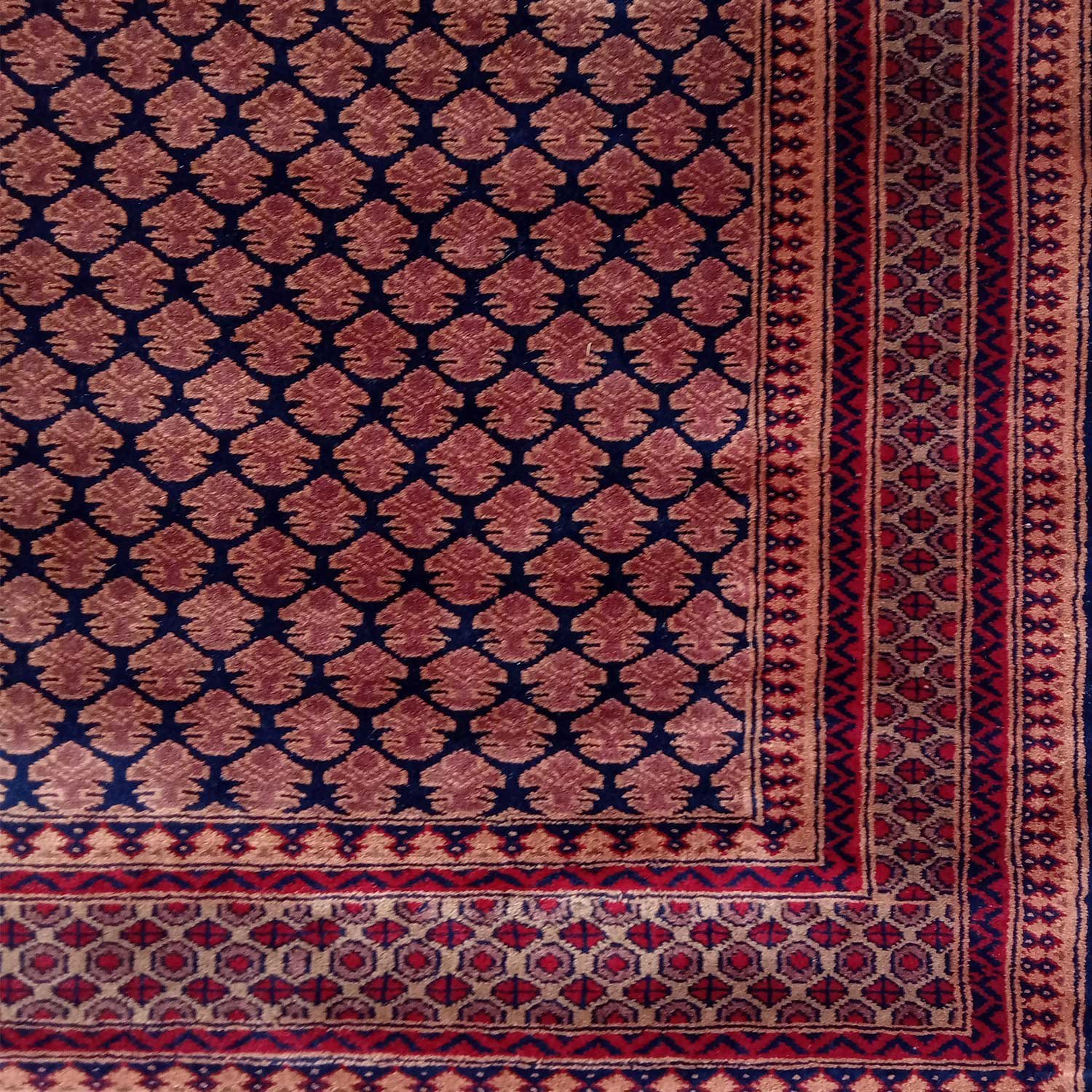4×6 Feet Black Hand Knotted Wool Carpet Lichi - Image 4