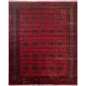 8x10 Feet Red Hand Knotted Wool Carpet Dubba