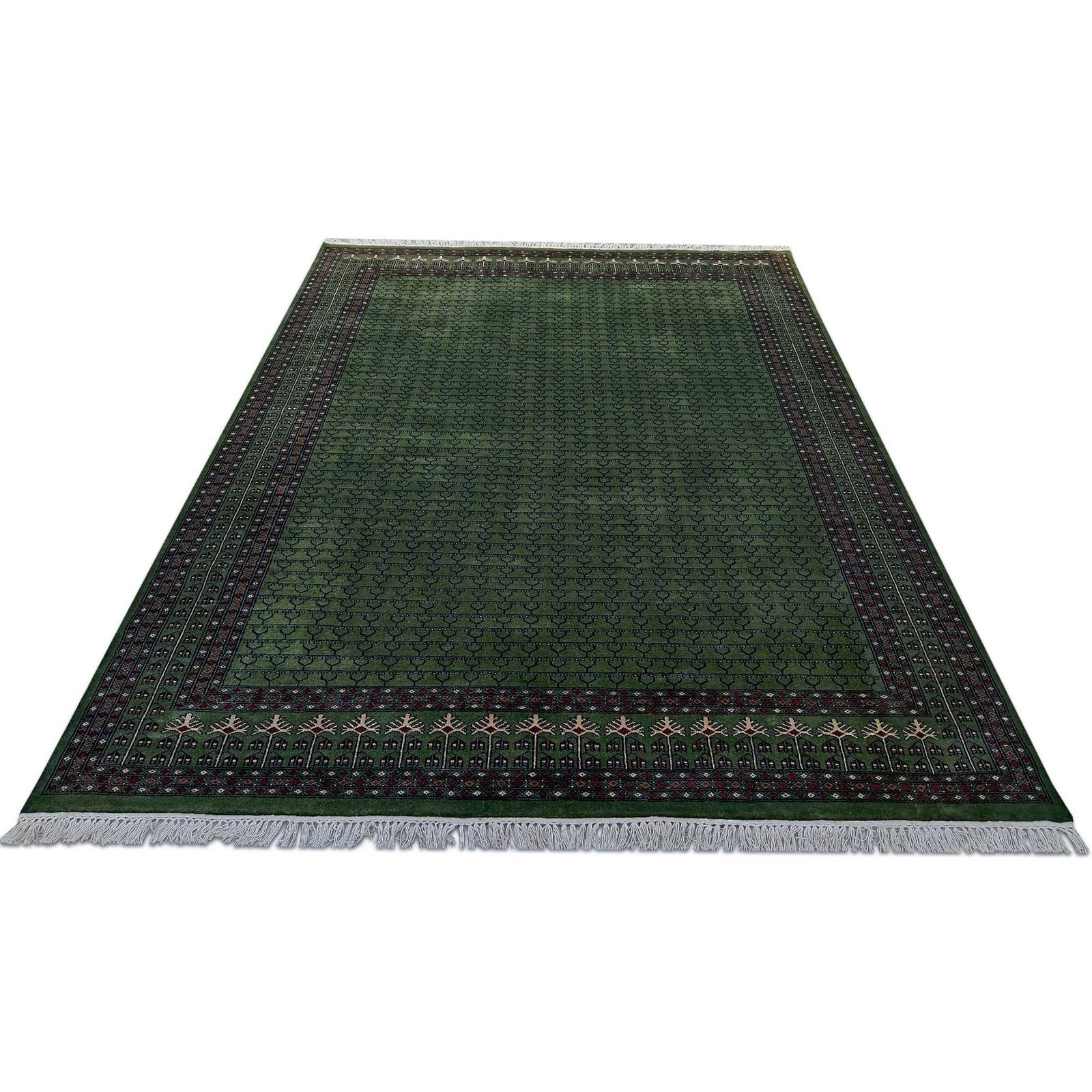 8x10 ft Green Hand Knotted Wool Carpet - Image 3
