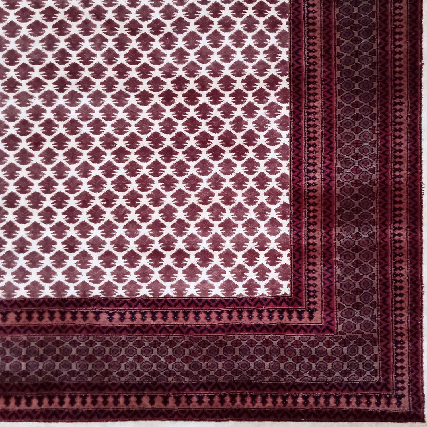 8×10 Feet Wool White Hand Knotted Carpet Lichi - Image 4